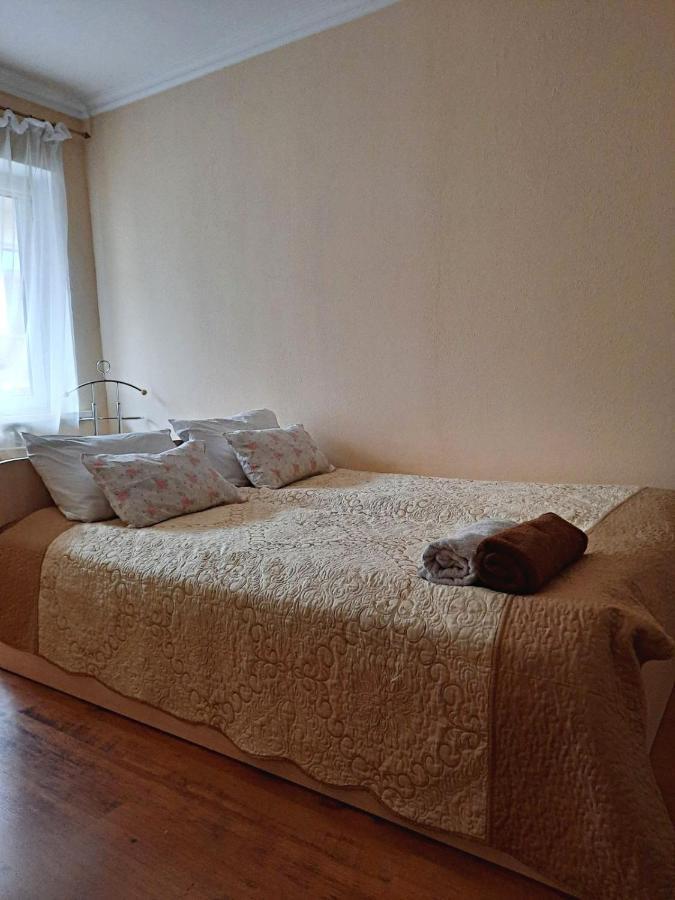 Apartment In The Historical City Center チェルニウツィー エクステリア 写真