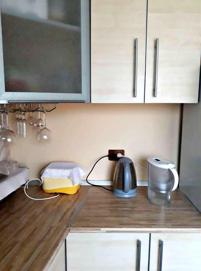 Apartment In The Historical City Center チェルニウツィー エクステリア 写真
